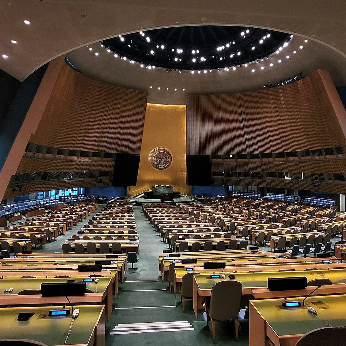 Asamblea General de las Naciones Unidas