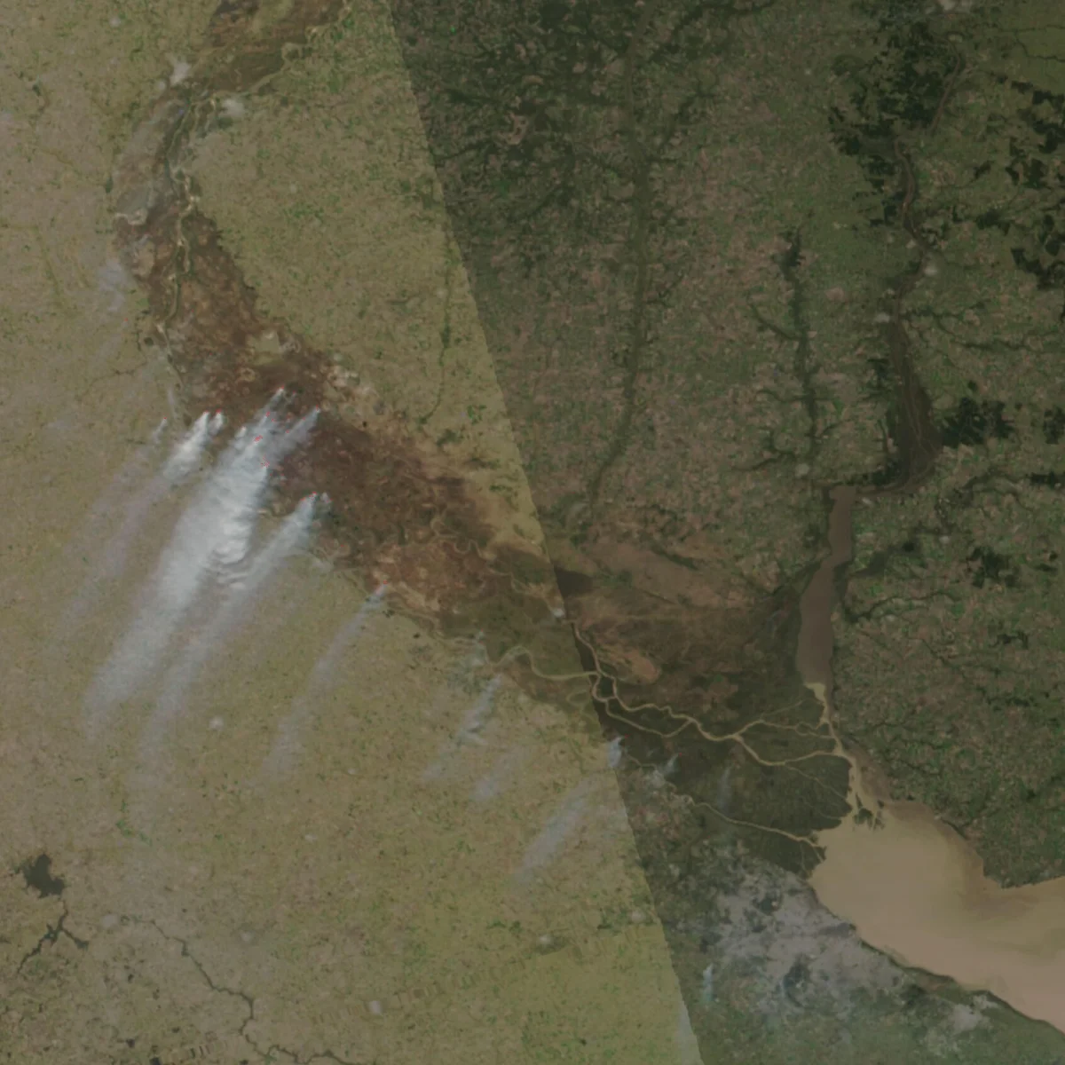 Incendio forestal y humo en bosques nativos